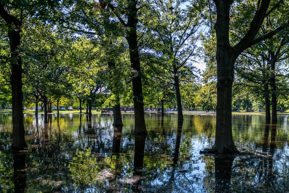 Hurricane Ida flooding alongside the Passaic River New Jersey September 2021